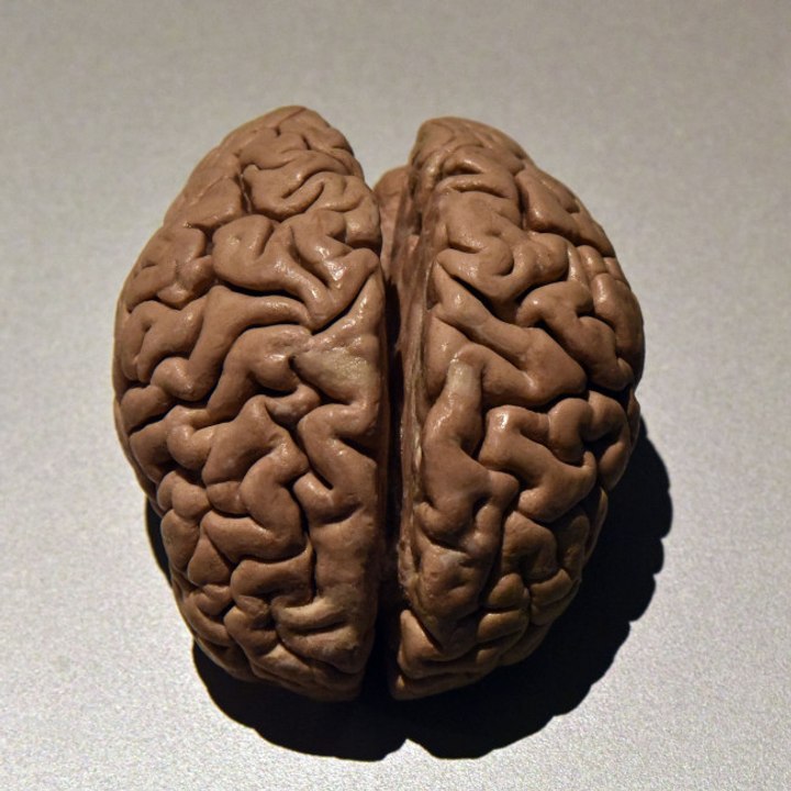 So vergesslich sind die Briten