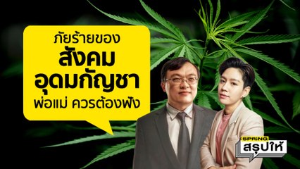หมอธีระ ห่วงผลกระทบจาก "ปลดล็อกกัญชา" ชี้อันตรายหลายด้านกว่าที่คิด l SPRiNGสรุปให้