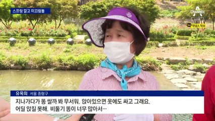 스프링 깔고 미끄럼틀 설치…“비둘기 막아라”