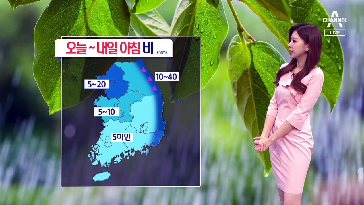 [날씨]밤사이 전국 비, 내일 충청 이남 소나기