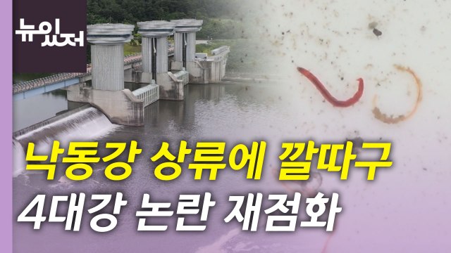 [뉴있저] '상류도 4급수' 낙동강 실태와 보 미래는? / YTN