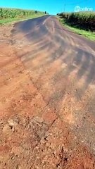 Moradora do 'Correia de Freitas' reclama de buracos; Veja