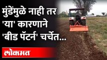 Crop Insurance Beed Patern :  बीड पॅटर्न आहे तरी काय ? म्हणून राज्यात होणार अंमलबजावणी | Maharashtra