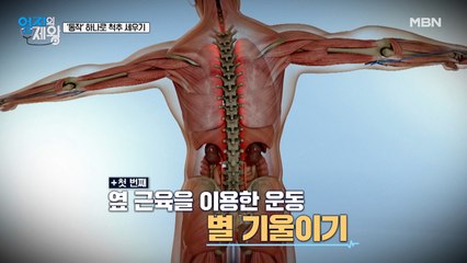 동작 하나로 척추 세우기! 척추 옆 근육 자극 '별 기울이기' 운동법!