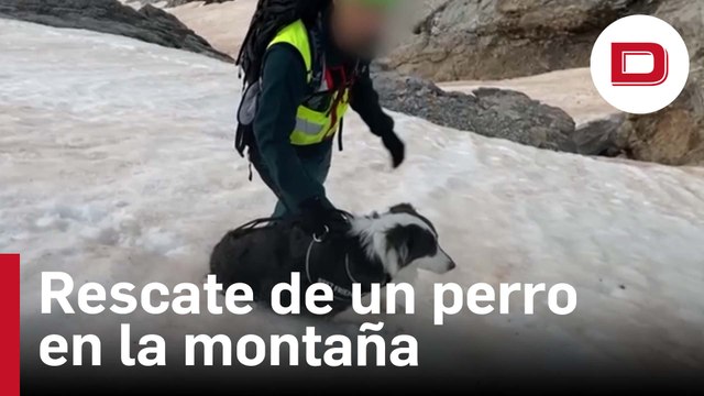 La Guardia Civil rescata un perro atrapado en Picos de Europa