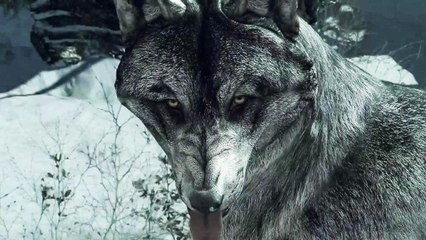Call of Duty: Ghosts - Gameplay-Trailer zum Wolf-Skin-DLC