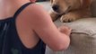 Toddler Showers Dog With Kisses