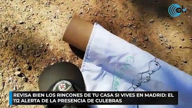 Revisa bien los rincones de tu casa si vives en Madrid el 112 alerta de la presencia de culebras