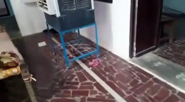 चोरों ने एक रात में तोड़े पांच घरों के ताले, लाखों की नगदी व जेवरात चुराए