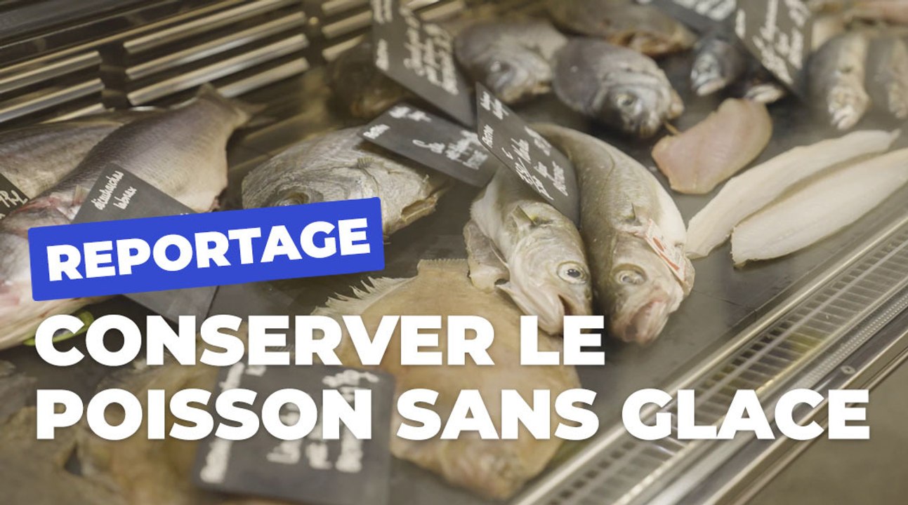 Arthur Viot, poissonnier et lauréat du Prix du goût d'entreprendre | Paris Gourmand | Ville de Paris