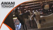 AWANI Tonight: Empowering the local agricultural sector