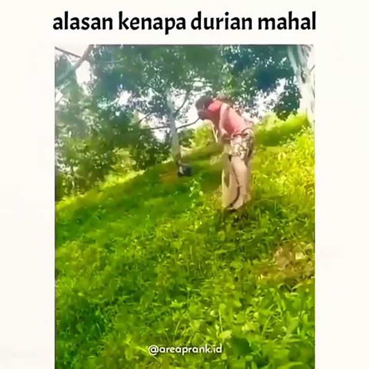 Duren Ajaibbb!!!