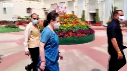 Gandhi Family या Congress, किसके लिए है सत्याग्रह, Indira से क्यों नहीं सीखते Rahul-Priyanka? ED