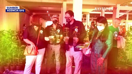 Festival Ganja Digelar di Thailand Usai Legal, Restoran Ikut Sajikan Hidangan Ganja