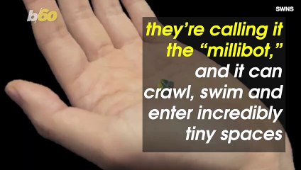 This is the Transforming Robot That Can Travel Through Your Body and Heal You From Within