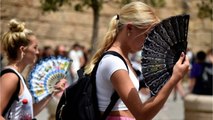 Met Office predicts potential heatwaves this summer, here’s what you need to know