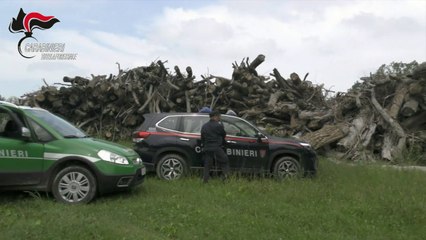 Corruzione, otto arresti nelle Marche