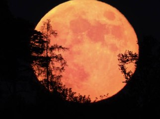 June's Strawberry Moon to Light Up the Night Sky This Week