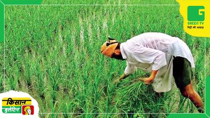 Daily Agri News Bulletin : Monsoon Alert – इन राज्यों में जल्द होने वाली है बारिश, फसलों की तैयारियों में जुटे किसानों को होगा लाभ