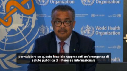 Vaiolo scimmie, l'Oms convoca comitato d'emergenza per valutare