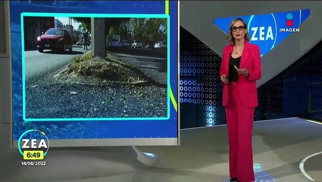 Denuncian descuido de banquetas y camellones en Azcapotzalco