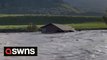Footage shows a HOME being swept along the Yellowstone River after unprecedented flooding