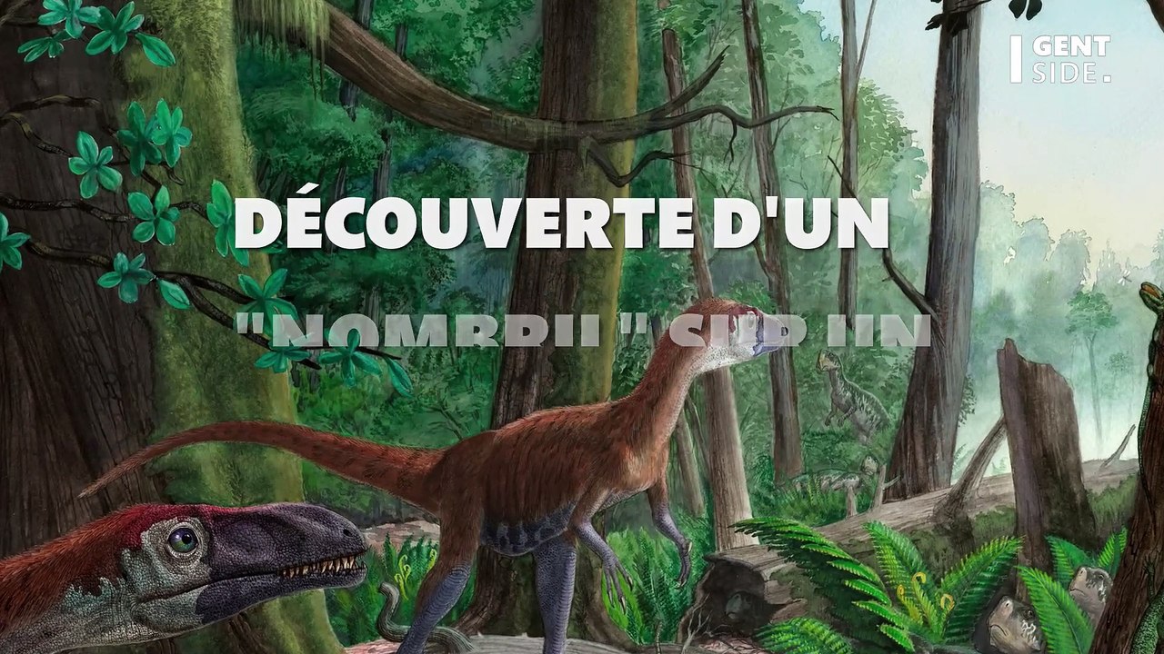 La découverte du plus vieux "nombril" du monde chez un dinosaure chamboule toute la communauté scientifique