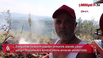 Zonguldak'ta ormanlık alanda yangın