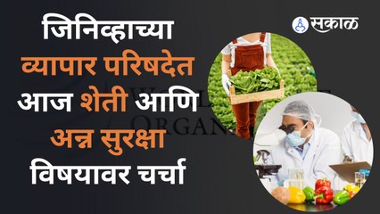 जिनिव्हाची व्यापार परिषद शेतकऱ्यांसाठी का महत्वाची?| World Trade Organization| Geneva| Sakal