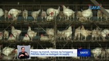 Presyo ng manok, tumaas ng hanggang P40/kilo dahil sa mahigpit na supply | Saksi