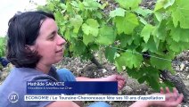 ECONOMIE / Le Touraine-Chenonceaux fête ses 10 ans d'appellation