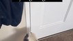 French Bulldog Ignores Open Door and Waits For Owner to Open Shut Door to go Outside