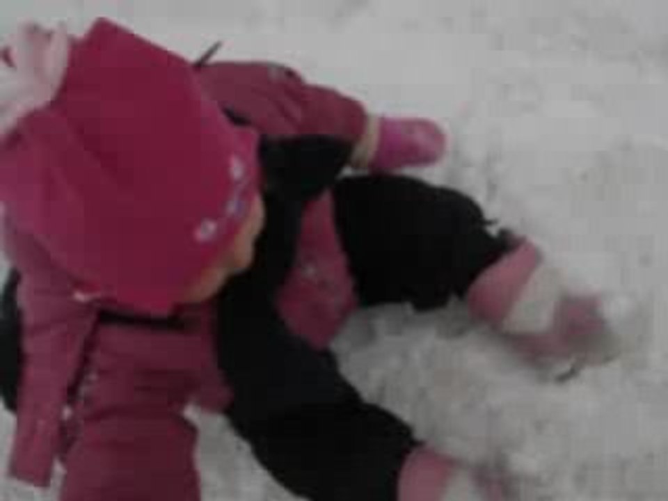 En promenade nordique