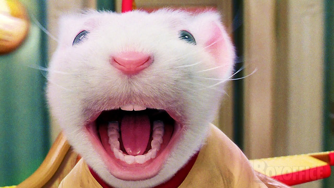 Une Souris volante | Stuart Little 2 | Extrait VF