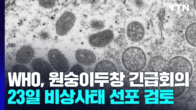 WHO, 23일 원숭이두창 긴급회의...공중보건 비상사태 검토 / YTN