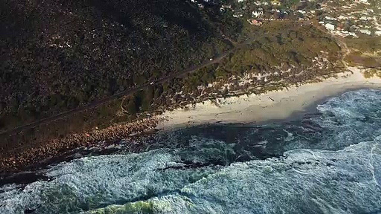 surf Beach