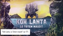 Koh-Lanta : Une candidate de retour en France avec l'hépatite A, 