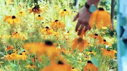 DECRETO PARA ANTES DE IRTE A DORMIR