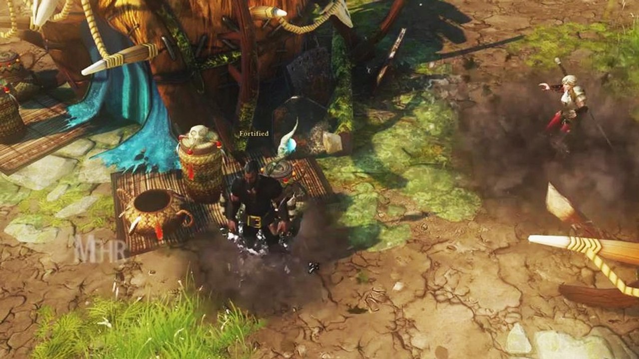 Divinity: Original Sin - Gameplay-Trailer zum Kickstarter-Jubiläum