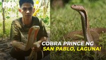 PANOORIN: NAGPAKAGAT muna bago manghuli ng AHAS si COBRA PRINCE! | Pep Inspires