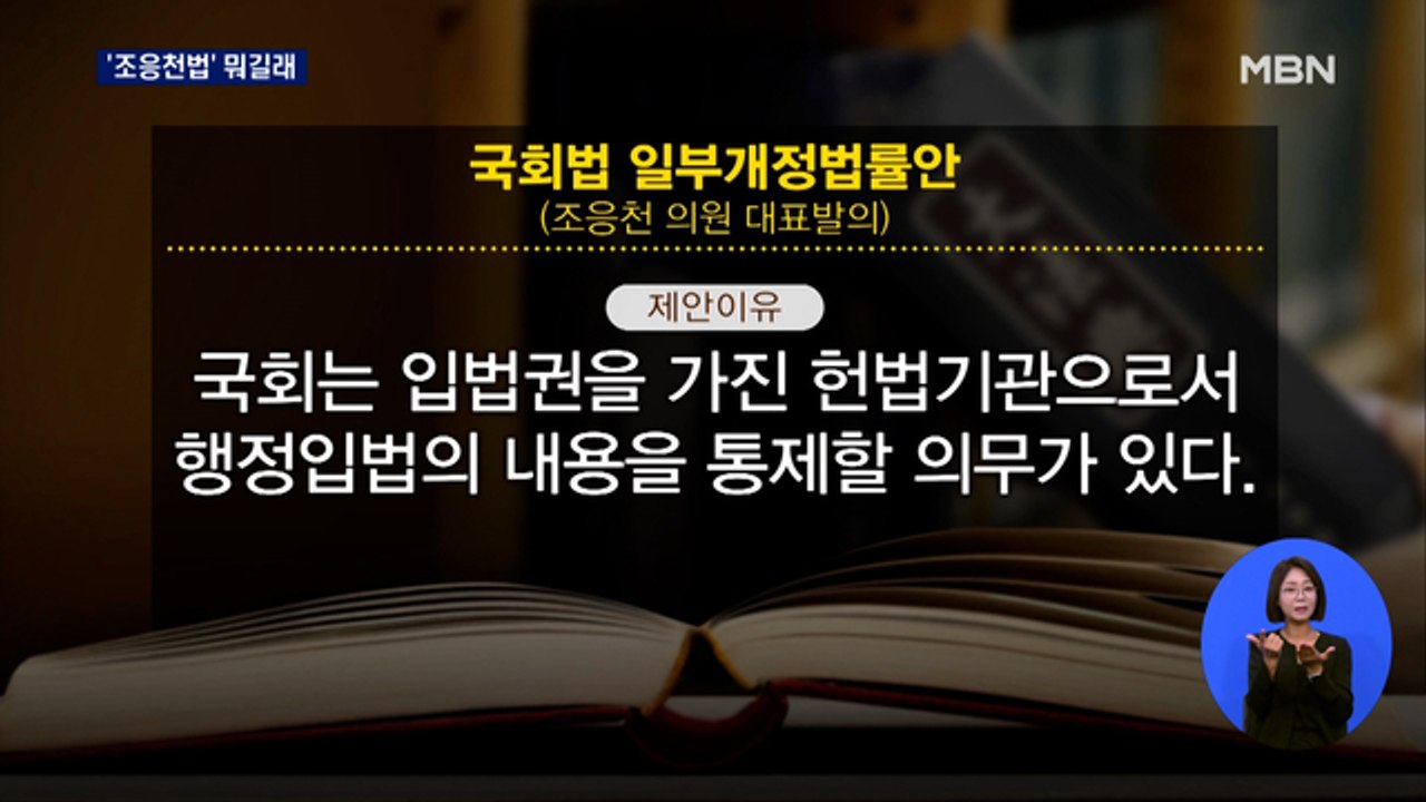 '조응천법' 뭐길래…"국힘도 과거 찬성" vs "문재인 정부 때도 '시행령 정치'"