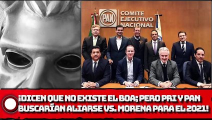 ¡Dicen que no existe el BOA; pero PRI y PAN buscarían aliarse vs. MORENA para el 2021!