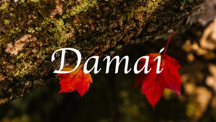 Damai - Rina Megasari (Cover by Nanda Reza Lyric)