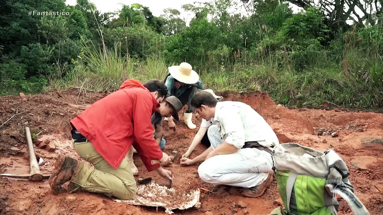 MAIS ANTIGO FÓSSIL DE DINOSSAURO PREDADOR
