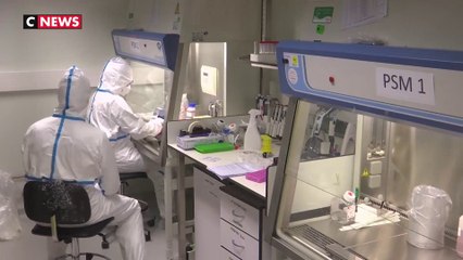 Variole du singe : une propagation préoccupante selon l'OMS