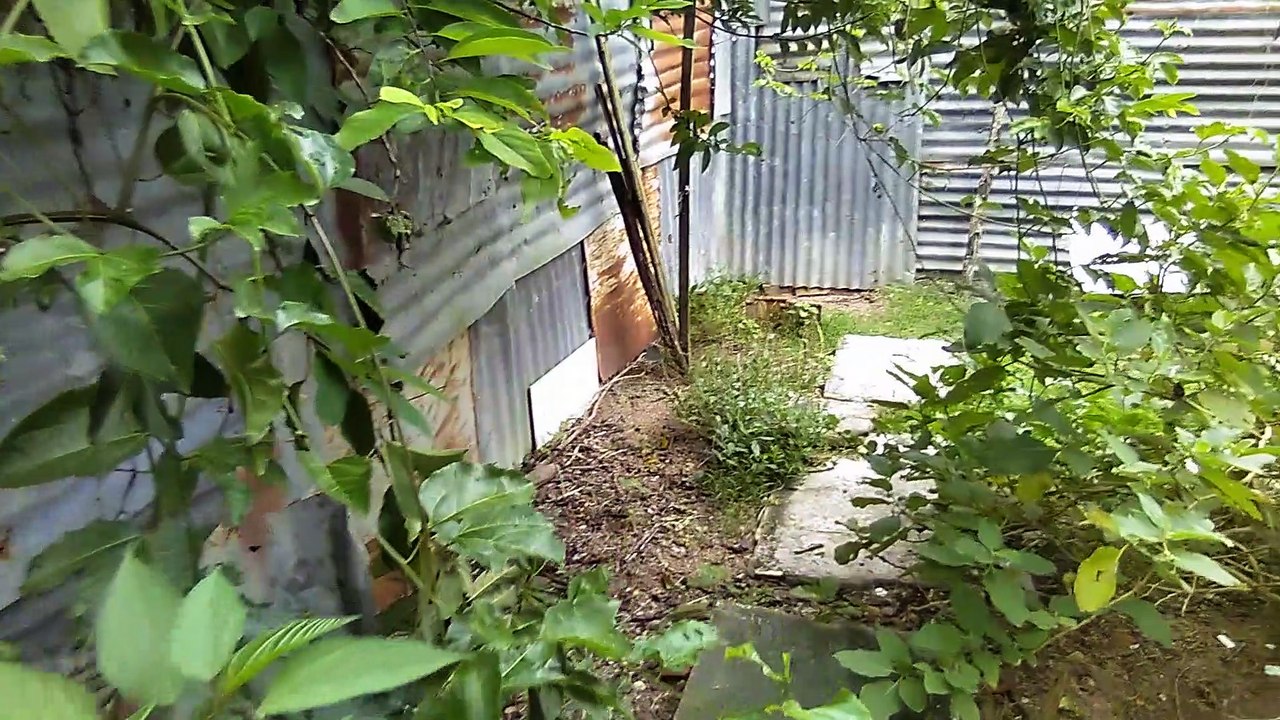 My mother-in-law's house and land