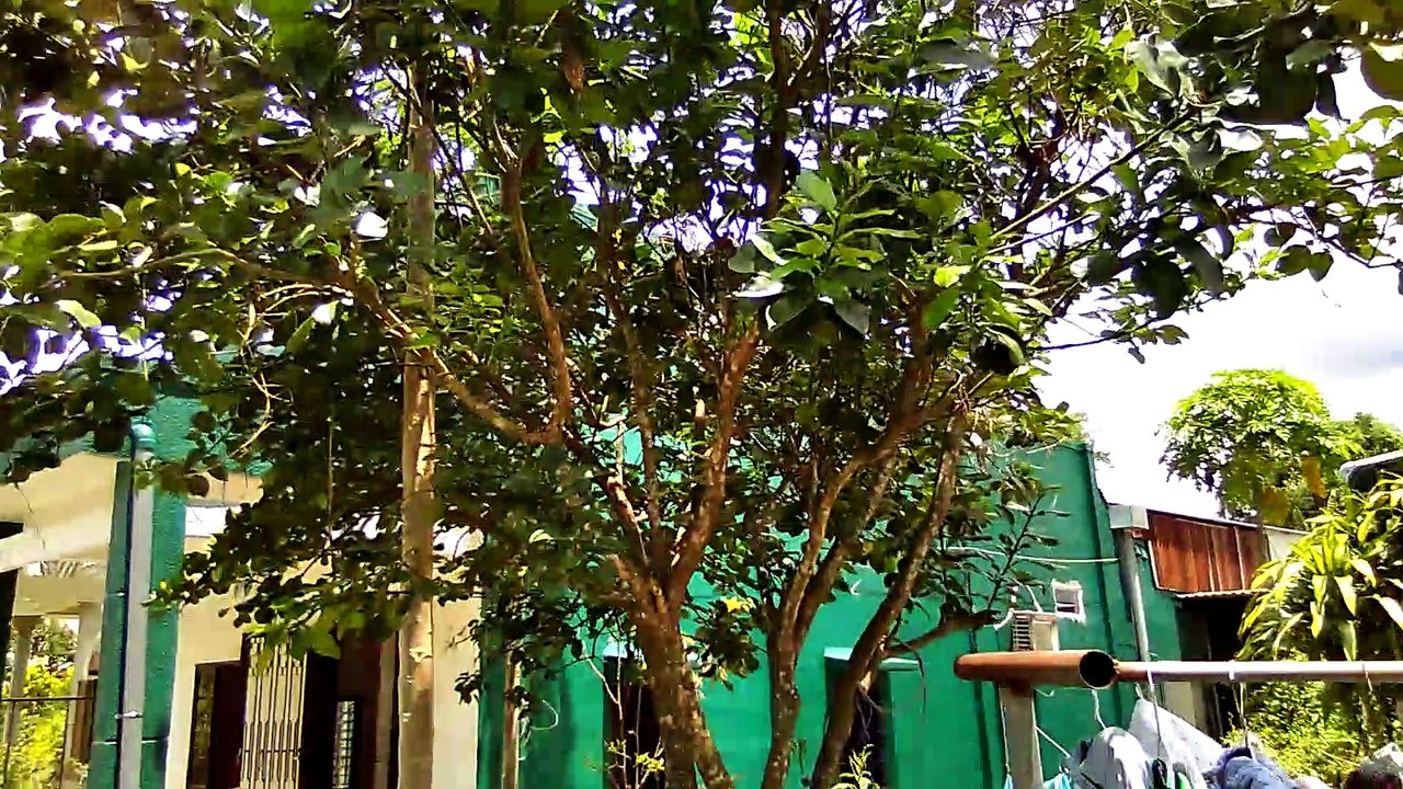 Our house in Vietnam