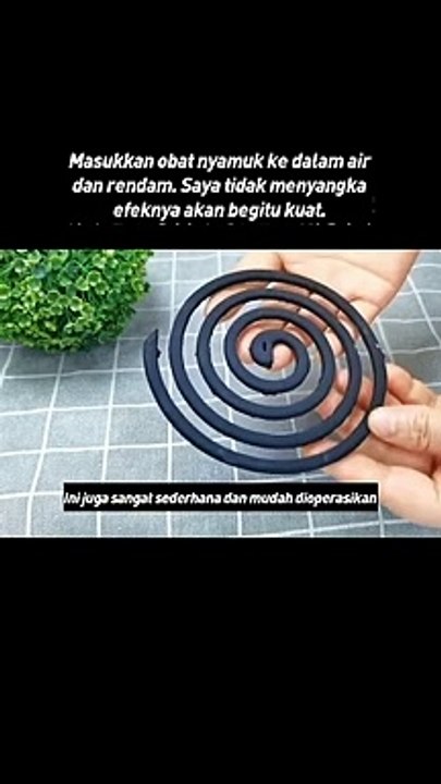Tips obat nyamuk awet