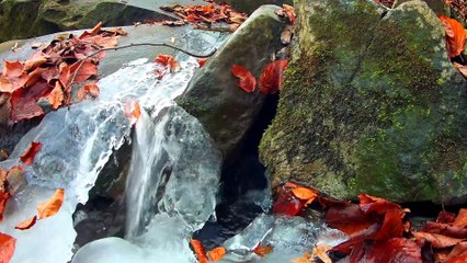 Nature Sounds of a Forest River for Relaxing-Natural Soothing Sound for deeping sleep