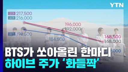 하이브, BTS 잠정 중단에 시총 2.2조 날아가 / YTN